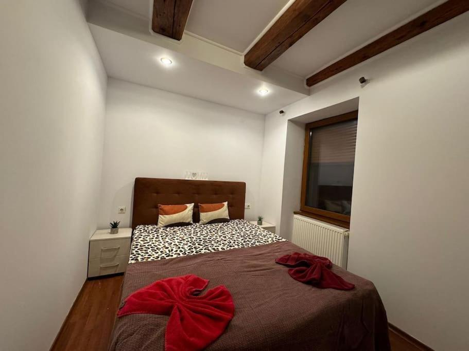 Appartamento Iazi Braşov